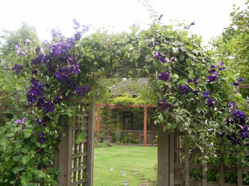 Looking through the archway