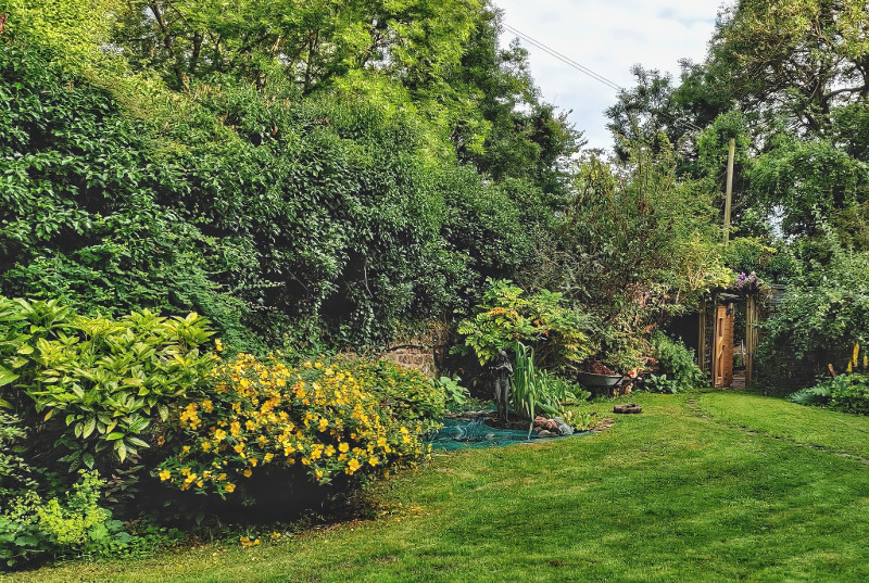 View of the garden on the pond side